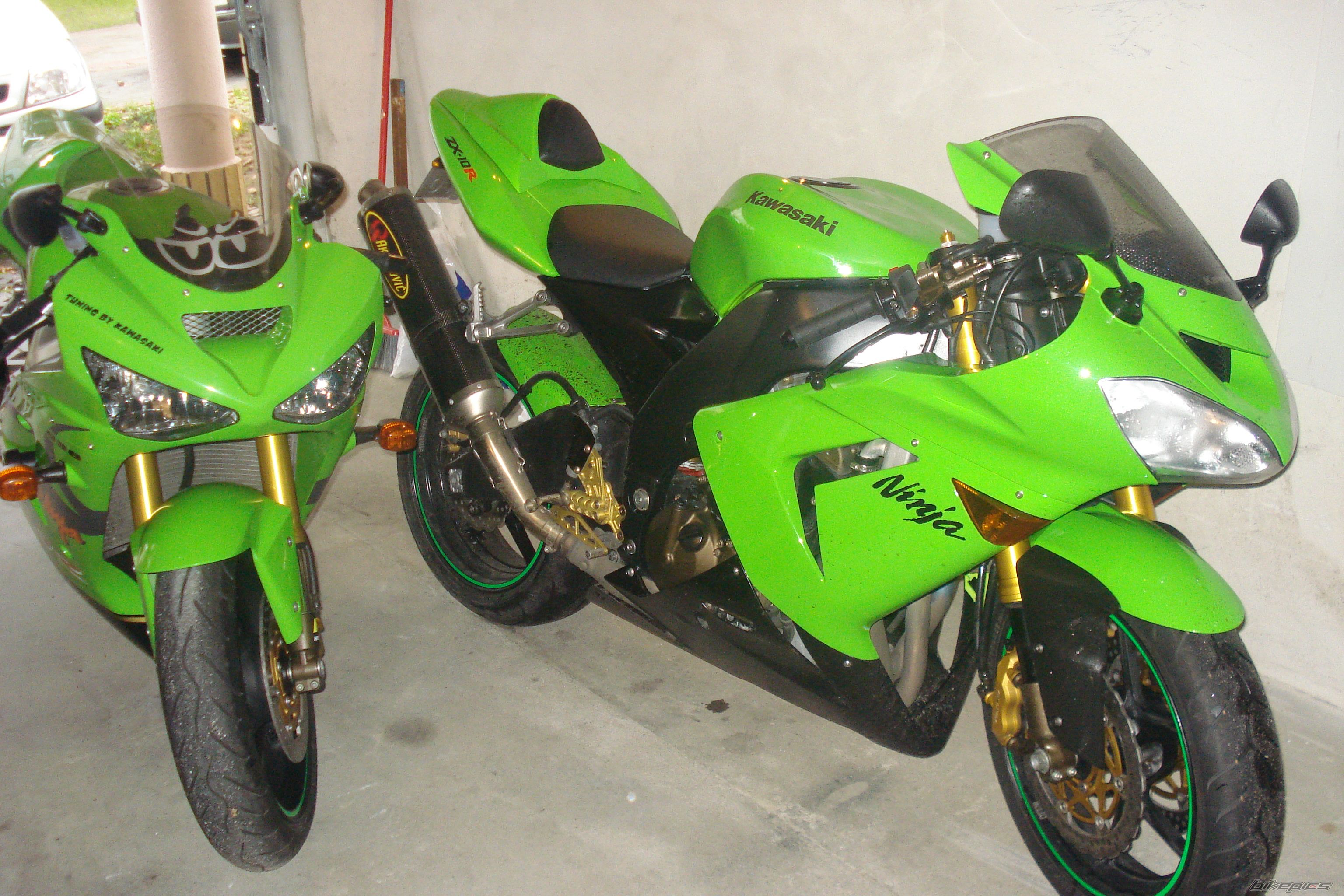 Photo 1482625