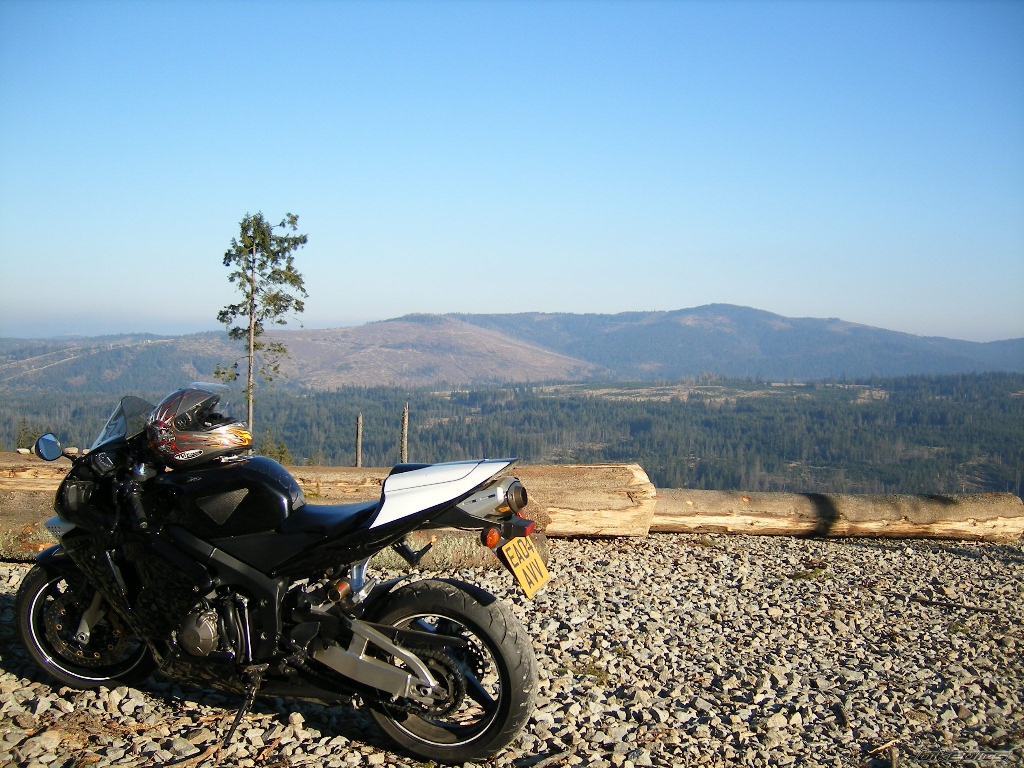 Photo 1482677
