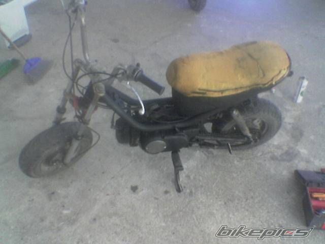 Photo 1482679