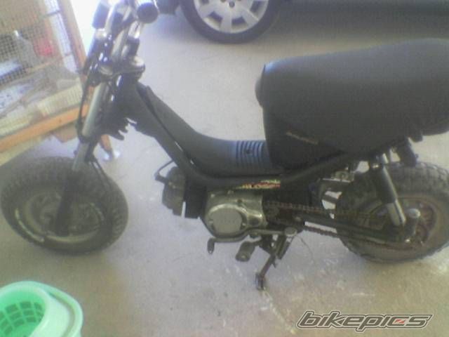 Photo 1482680