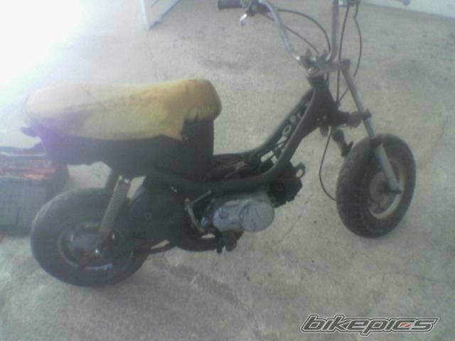 Photo 1482683