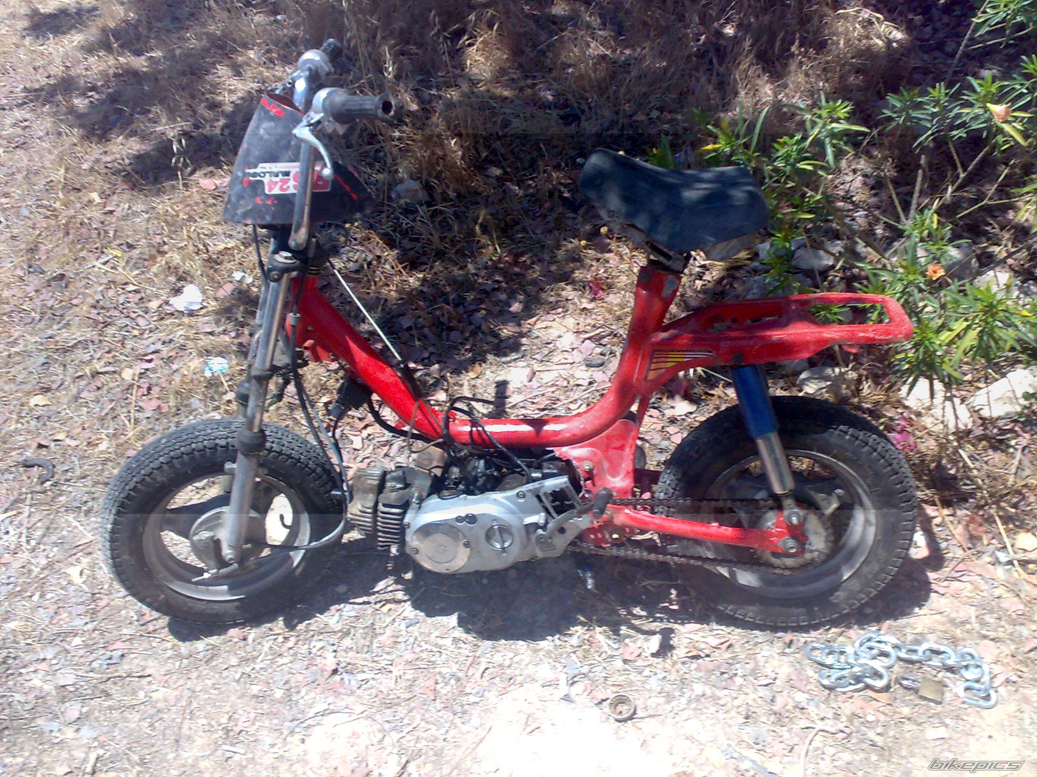 Photo 1482760