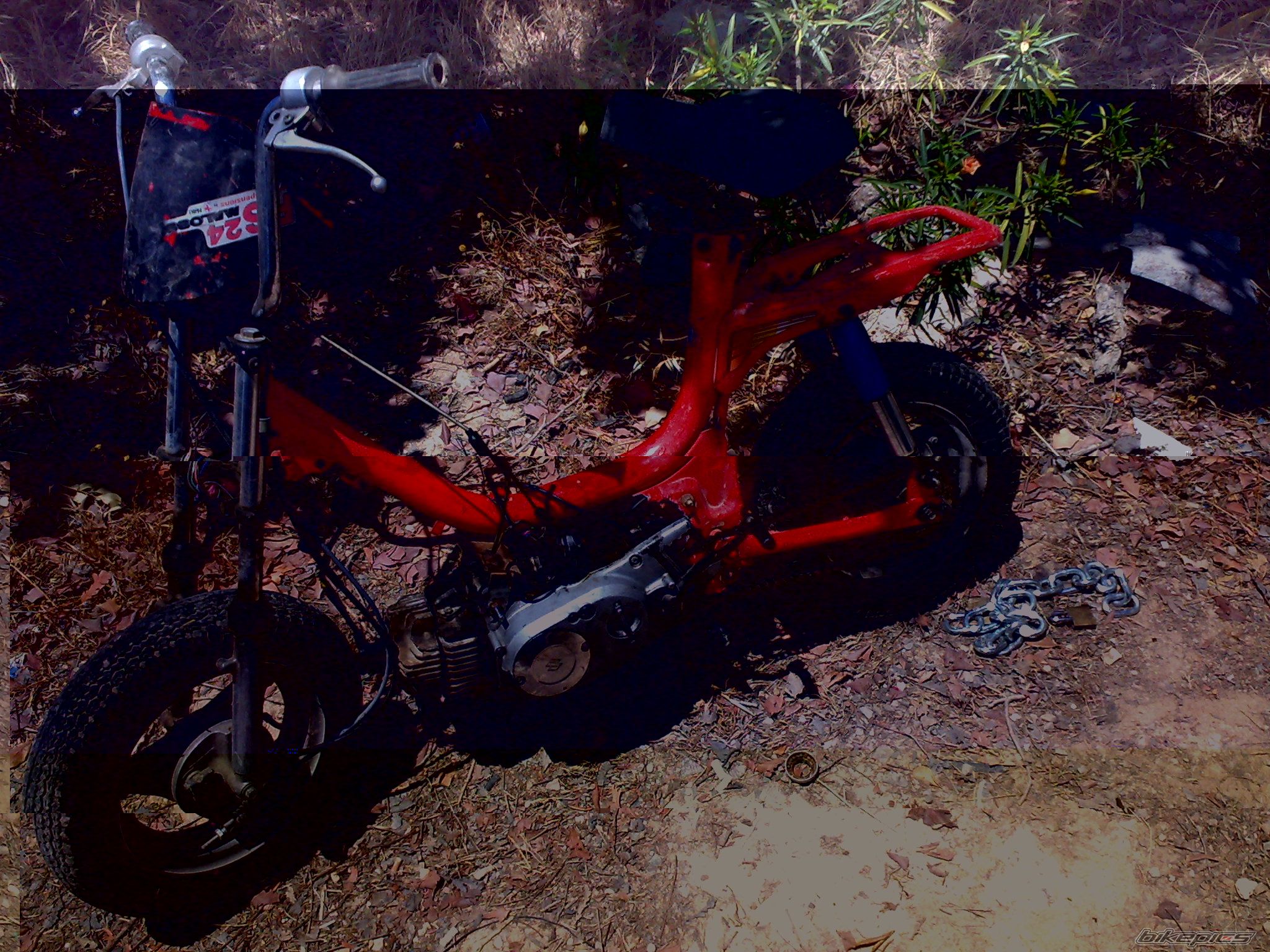 Photo 1482776