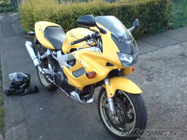 Photo 1482797
