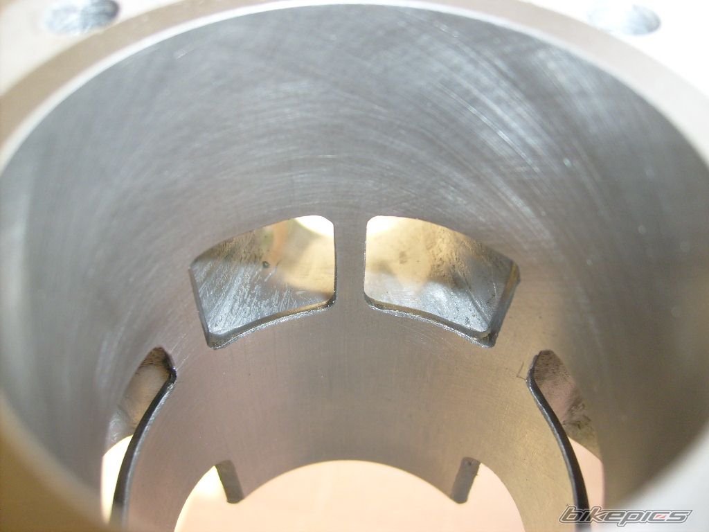 Photo 1482828