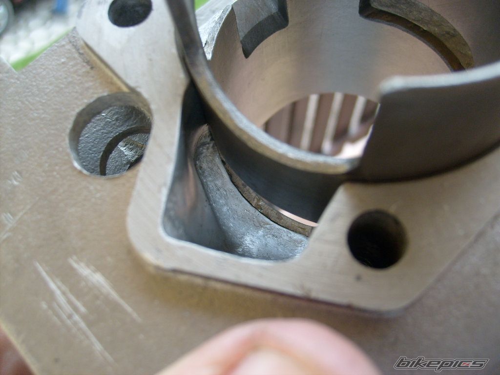 Photo 1482854