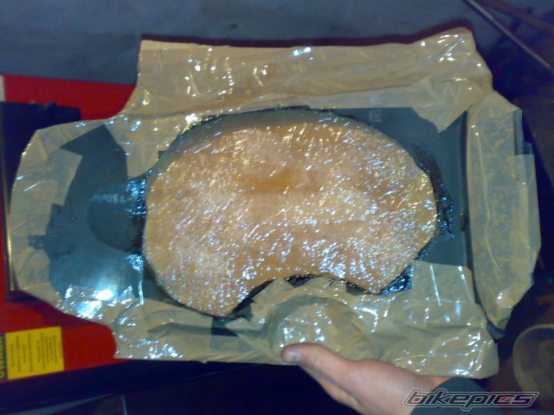 Photo 1482855