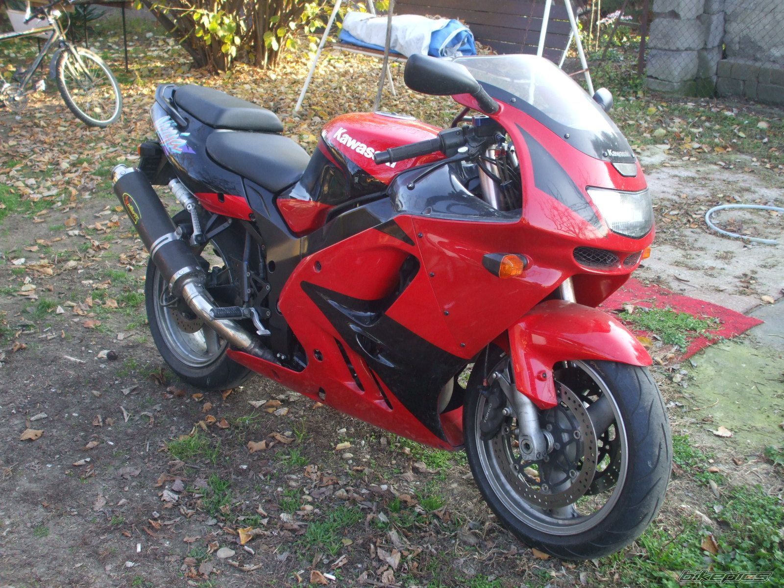 Photo 1482885