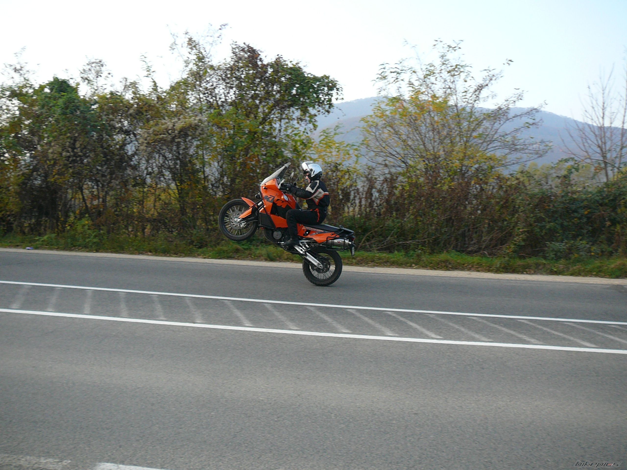 Photo 1482892