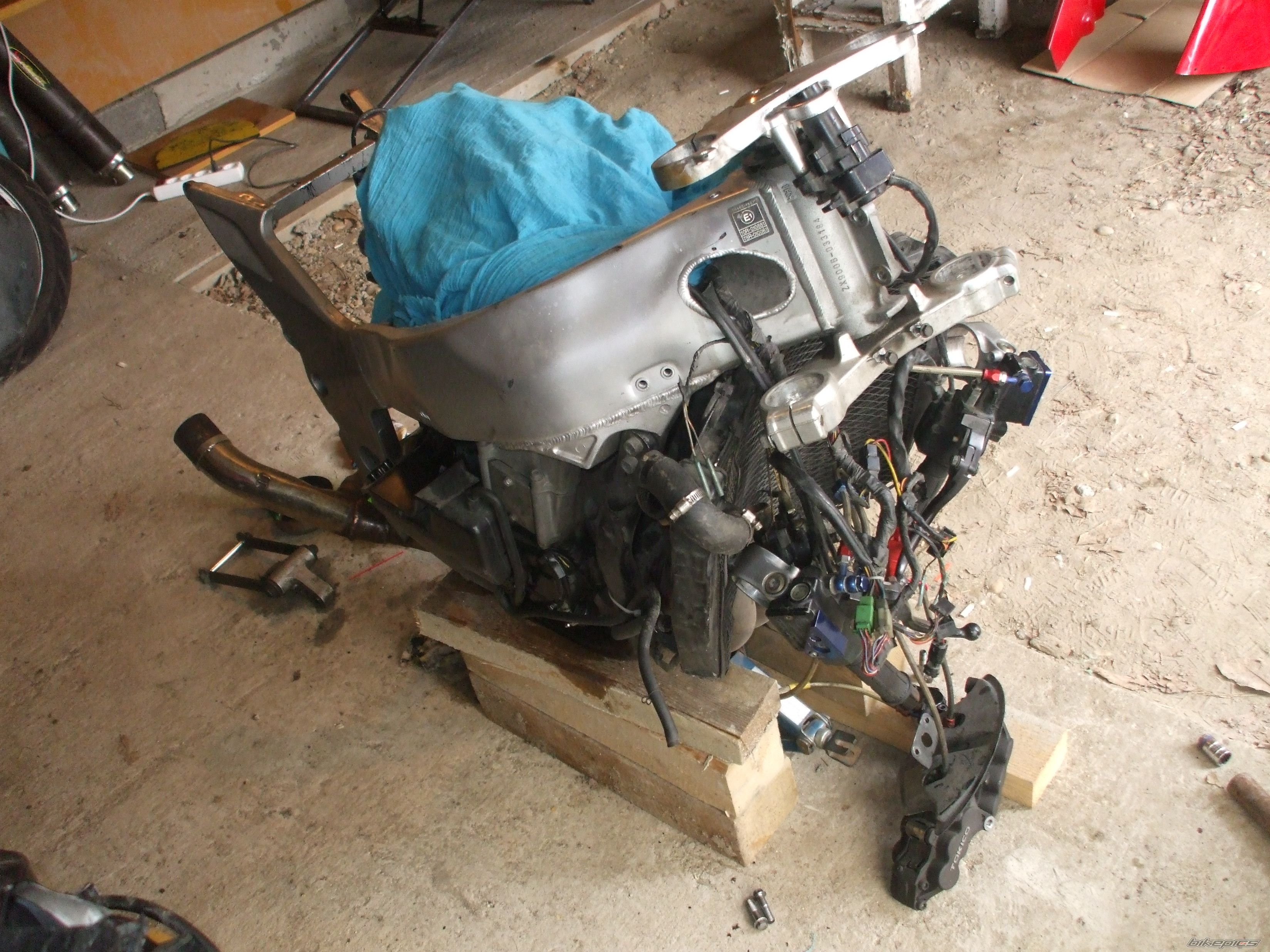 Photo 1482894