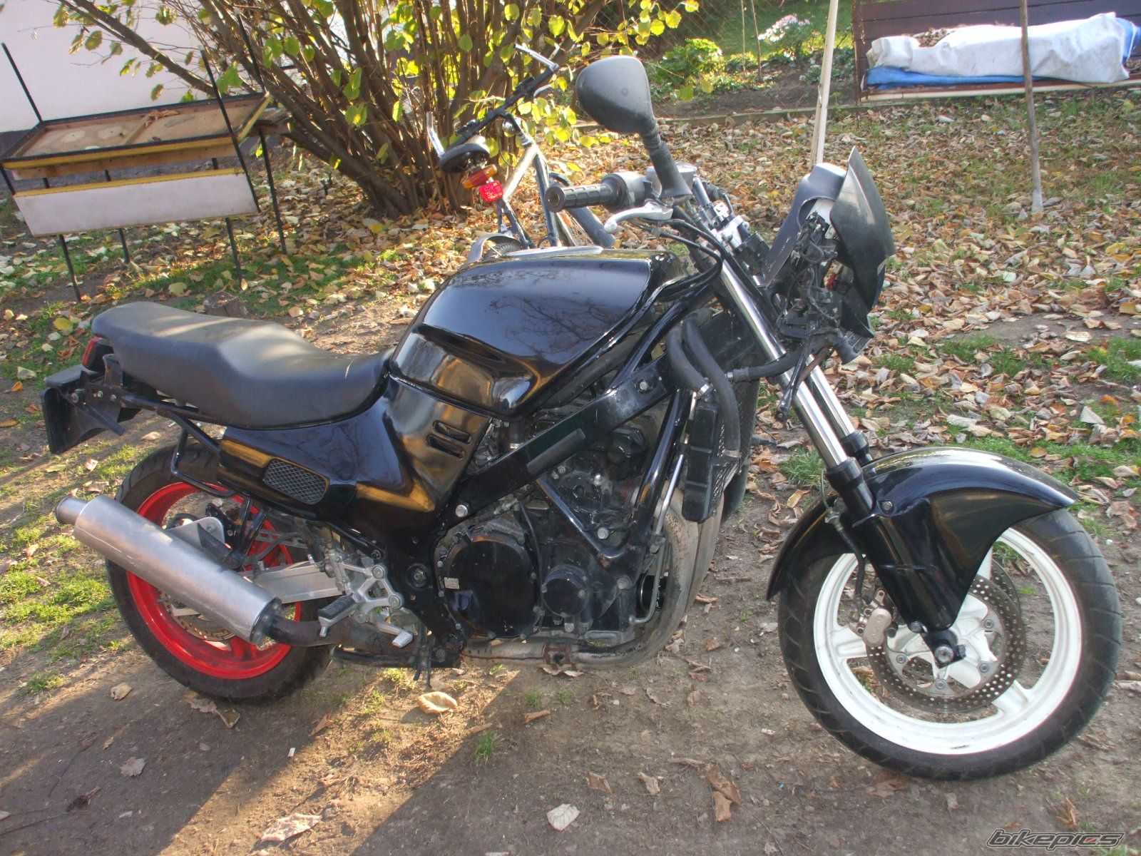 Photo 1482896