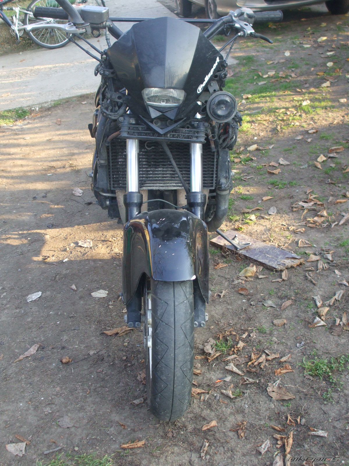 Photo 1482902