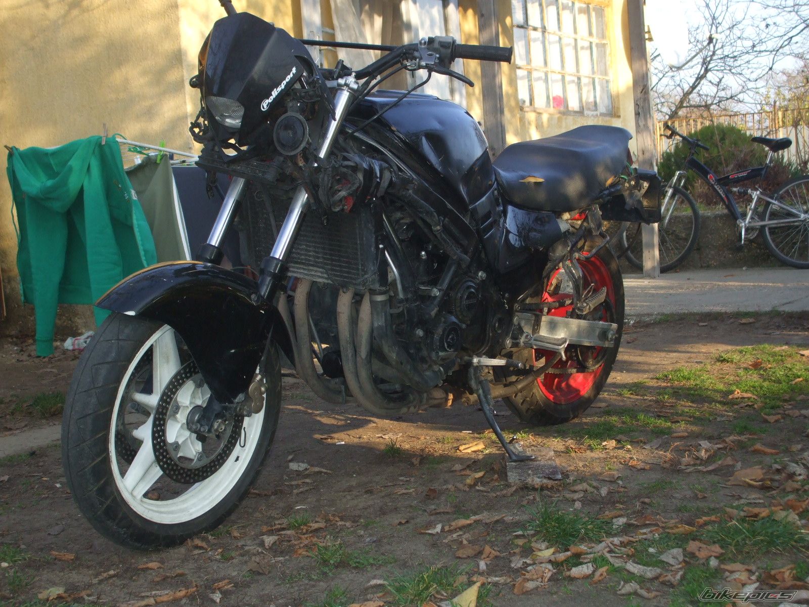 Photo 1482903