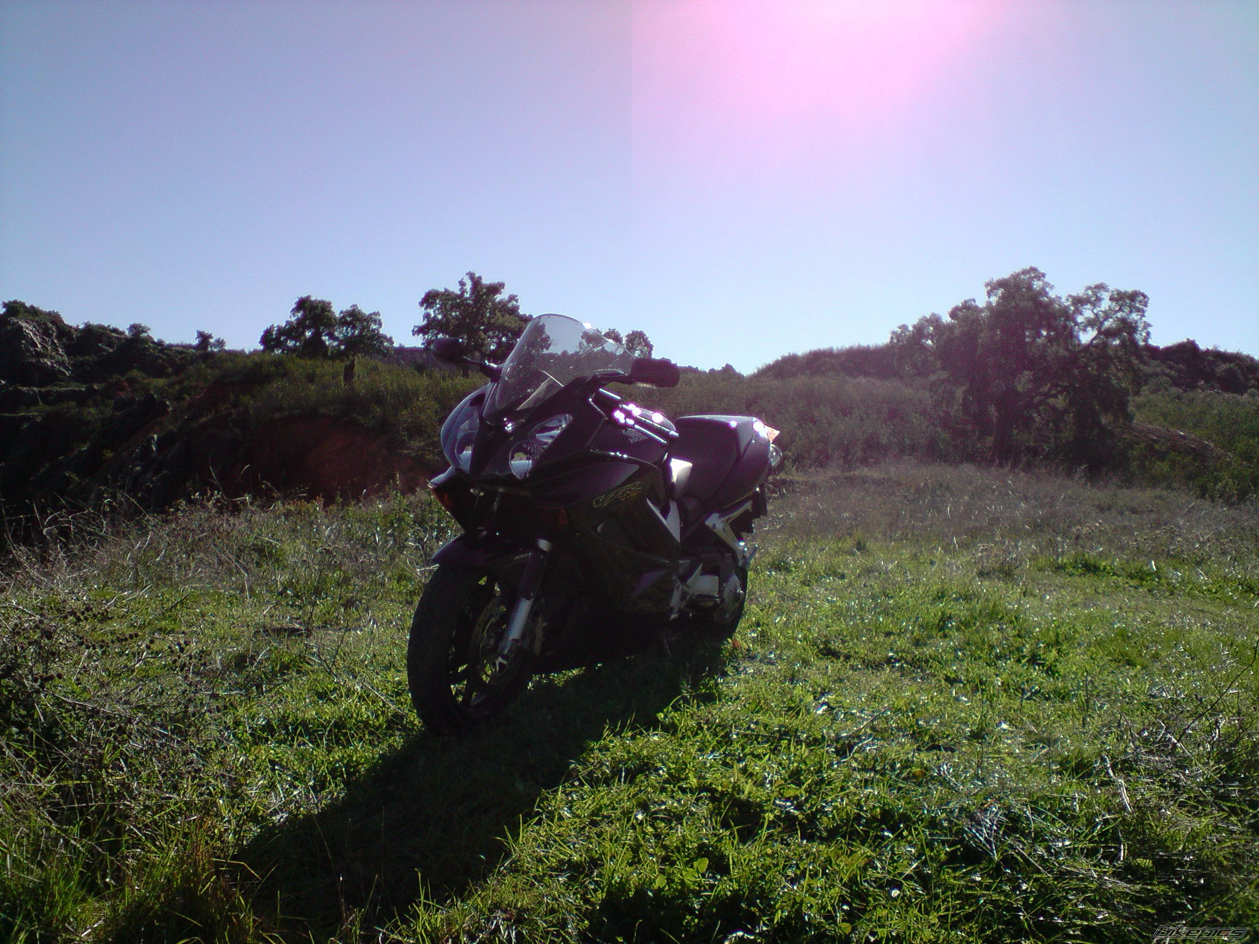 Bike Photo 1482905