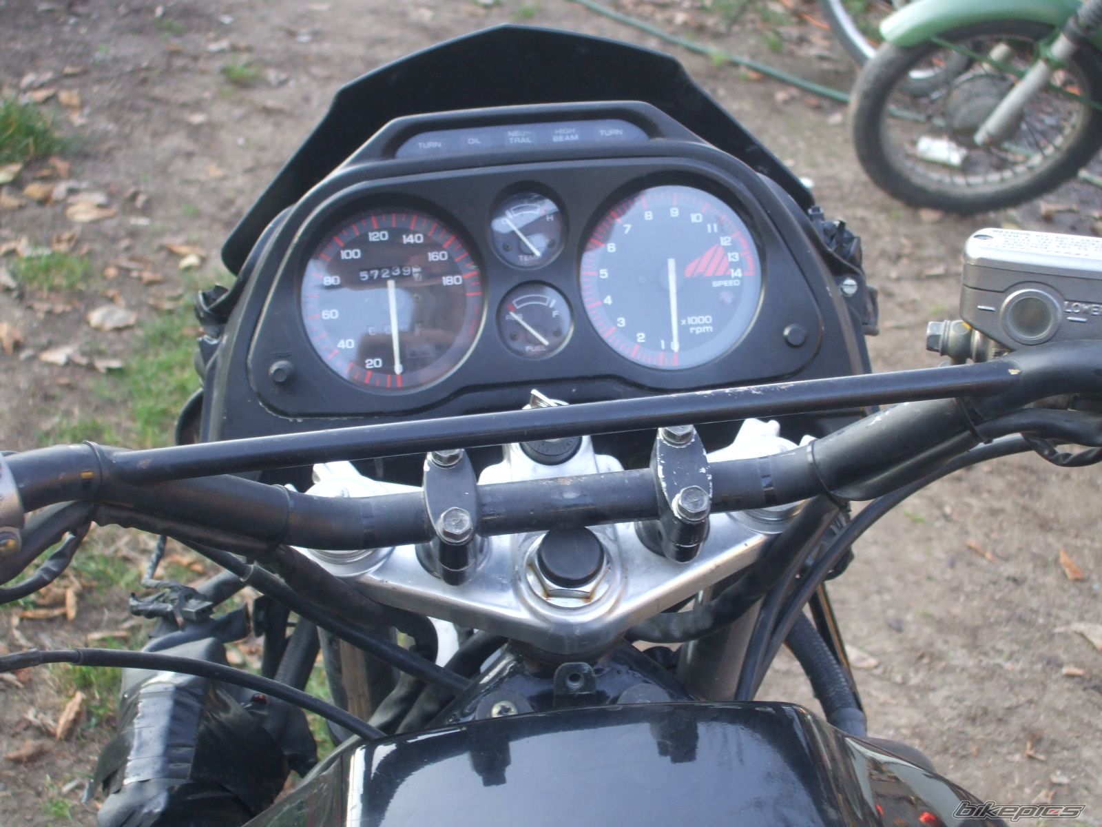 Photo 1482906
