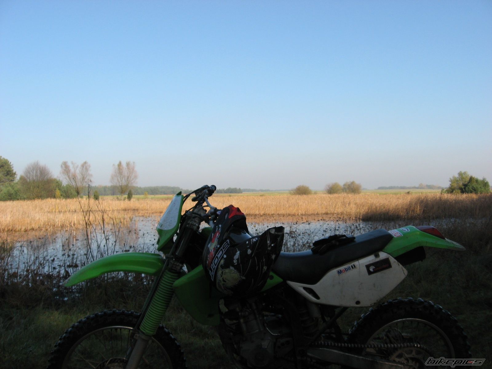 Photo 1482920