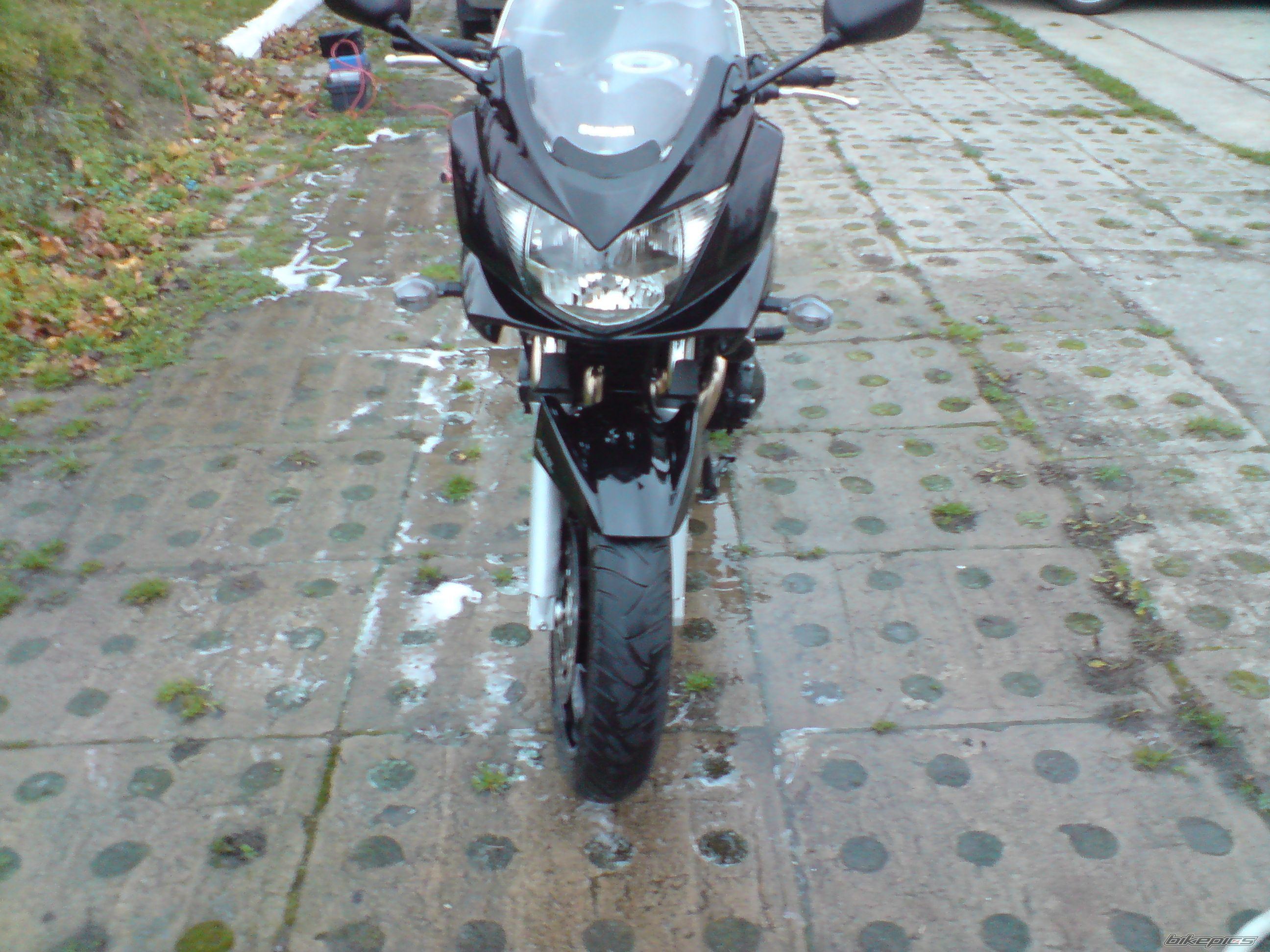 Photo 1482925