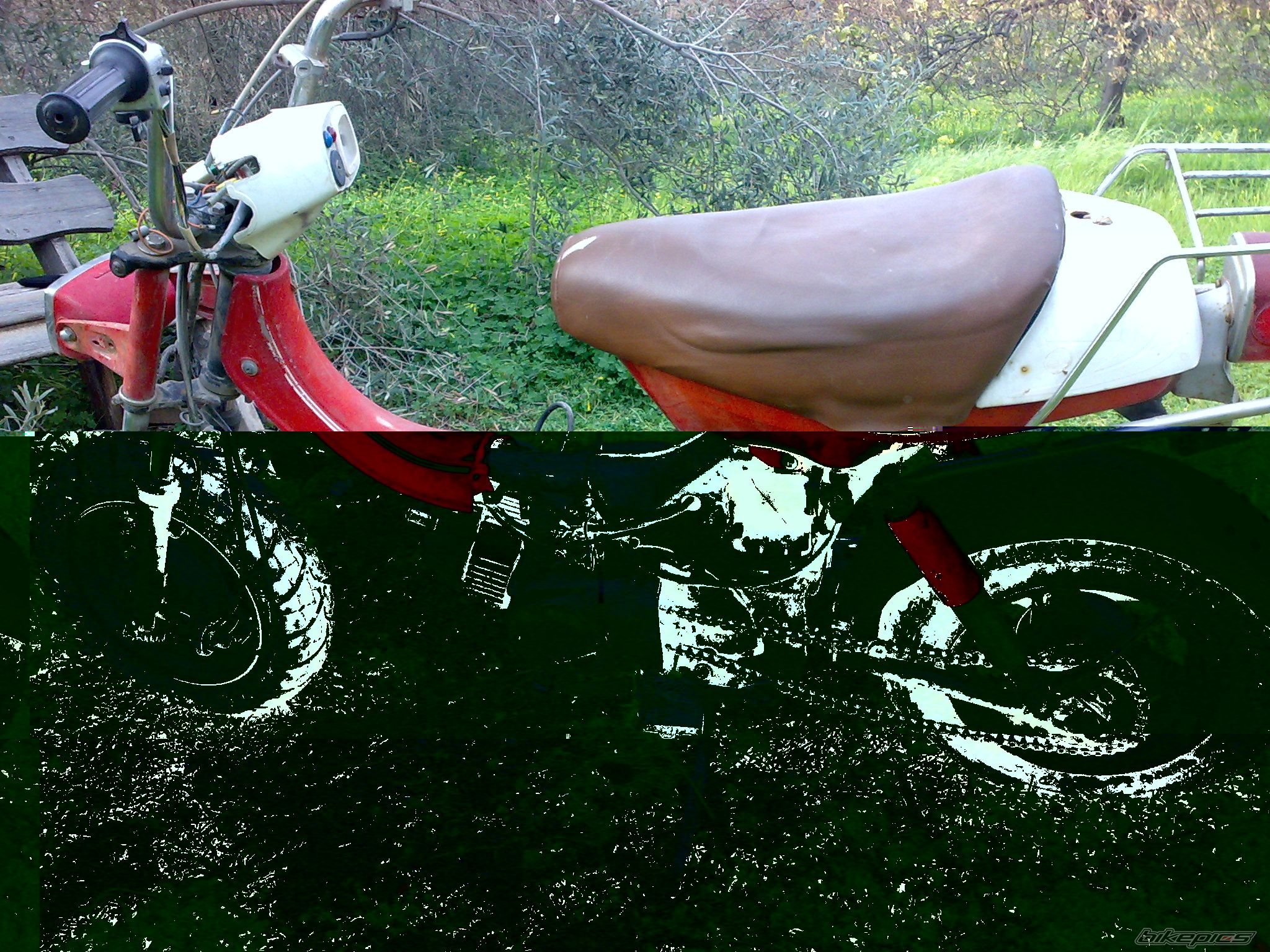 Photo 1482926