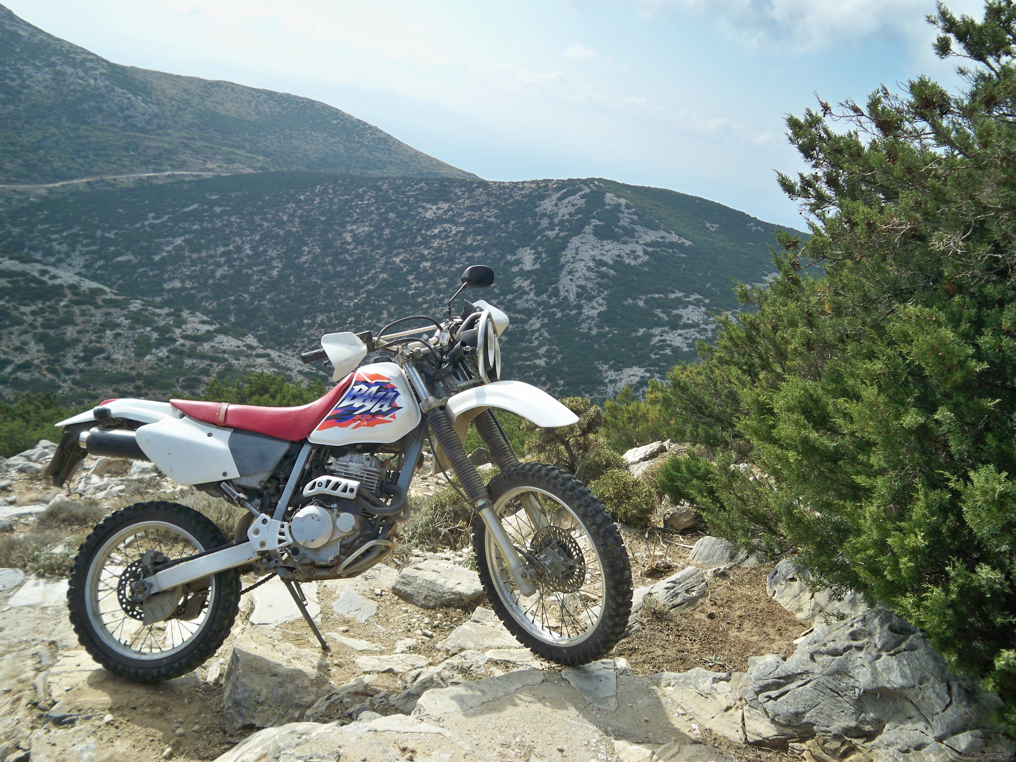 Photo 1482961