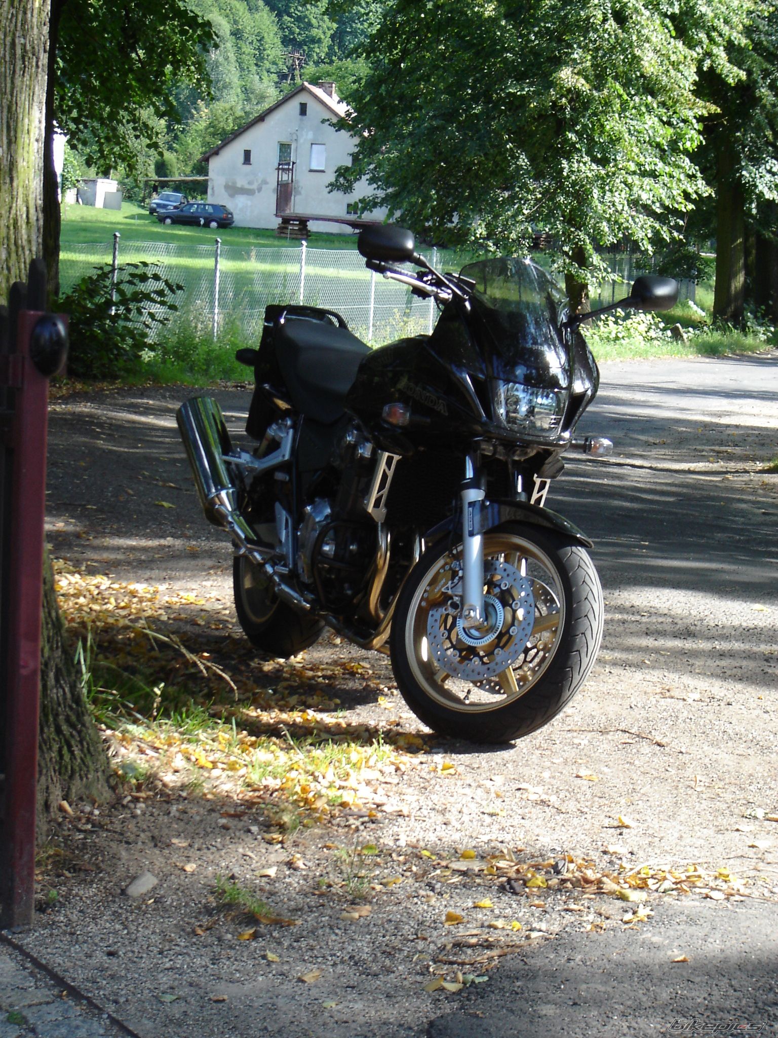 Photo 1482969