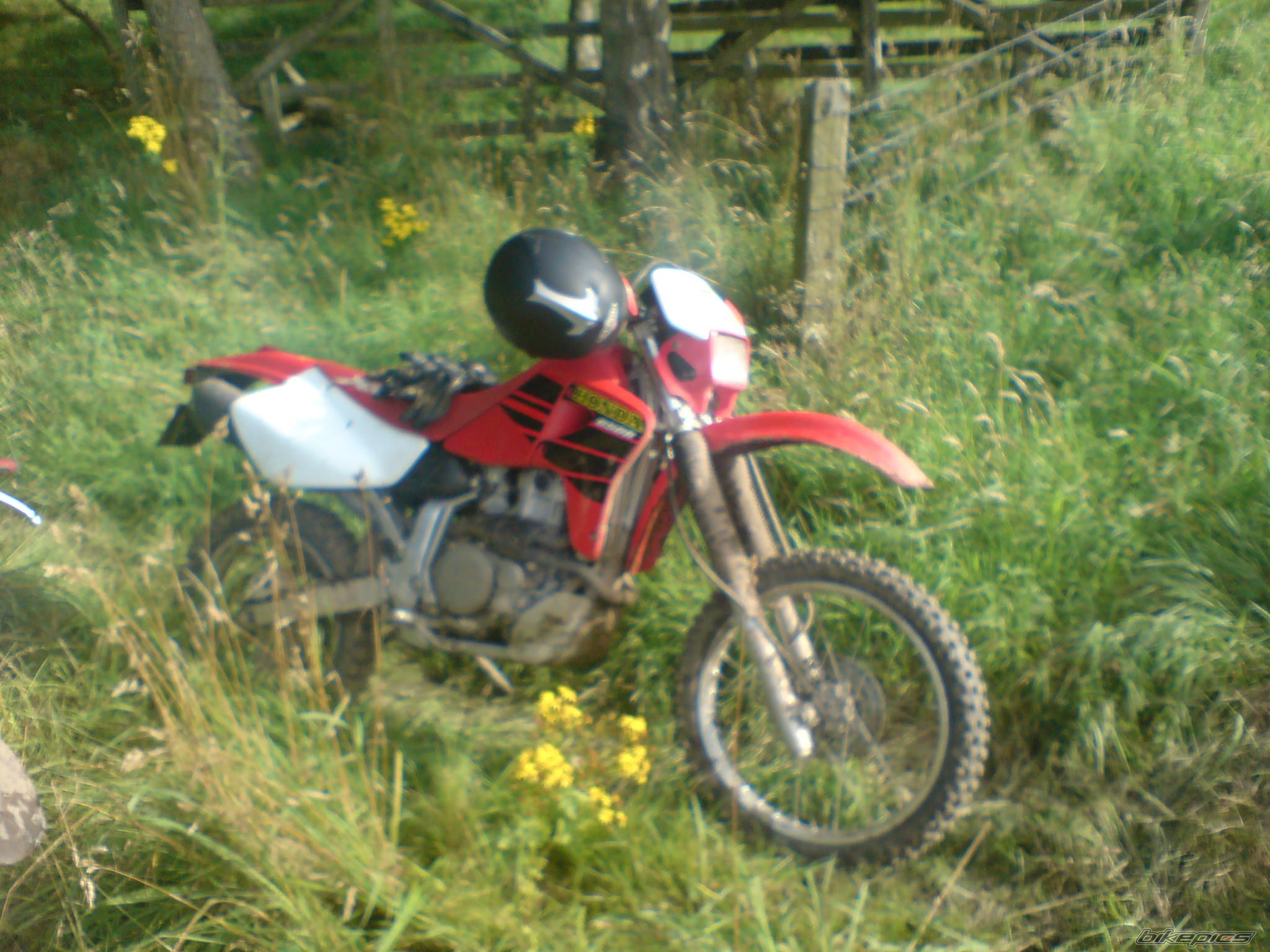Bike Photo 1483066