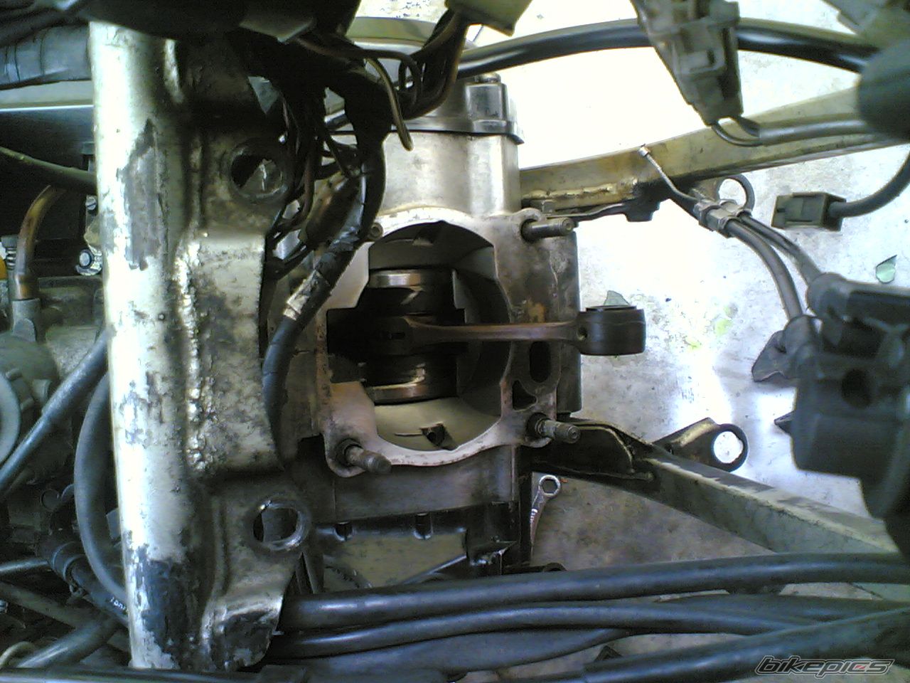 Photo 1483071