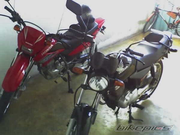 Photo 1483177