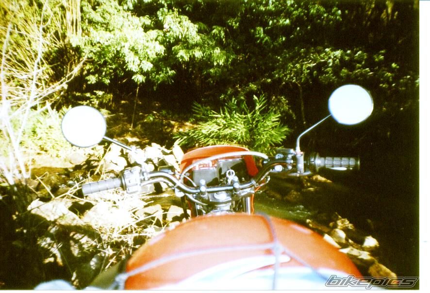 Photo 1483181
