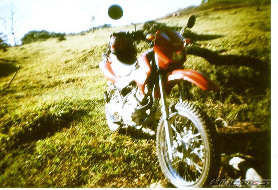 Photo 1483184