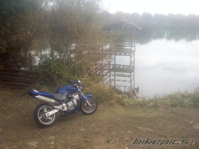 Photo 1483216