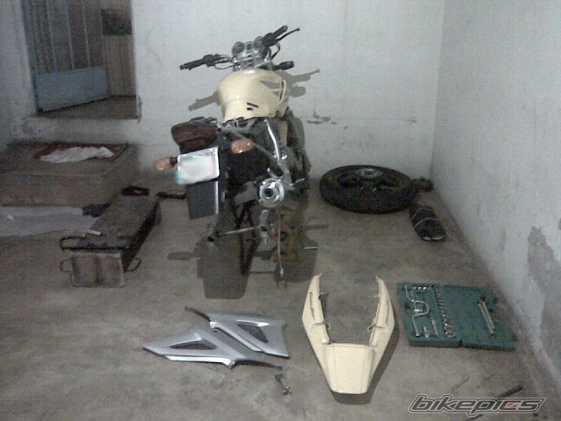 Photo 1483228