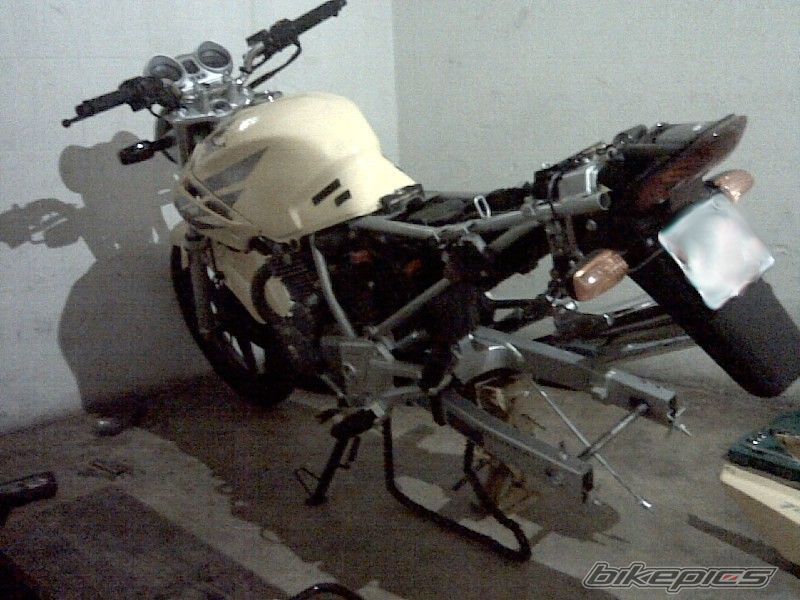 Photo 1483231