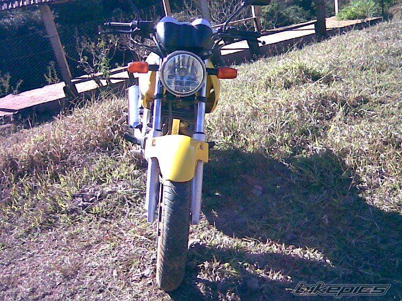 Photo 1483243