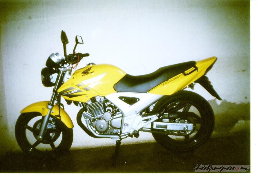Photo 1483280
