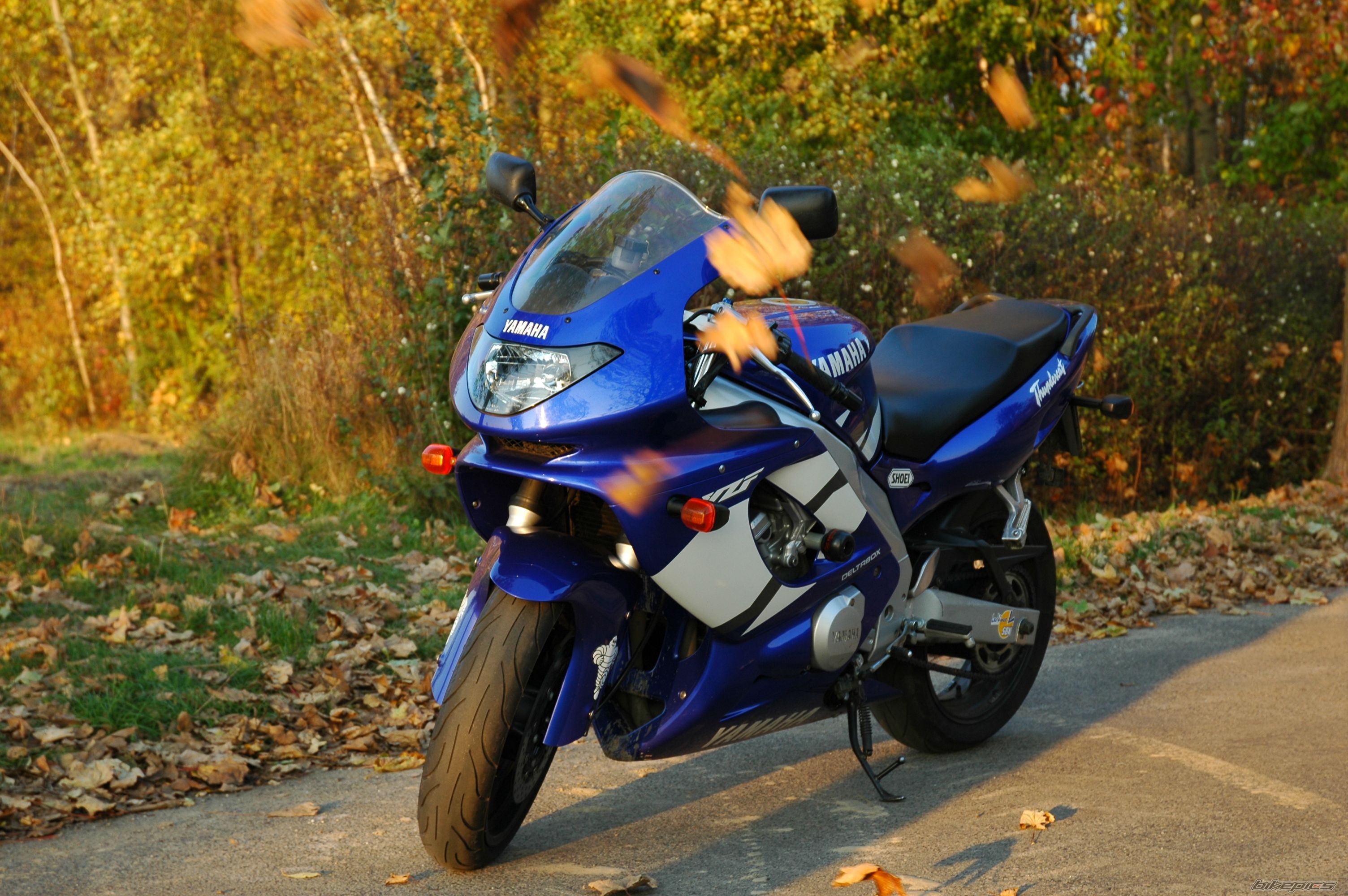 Photo 1483284