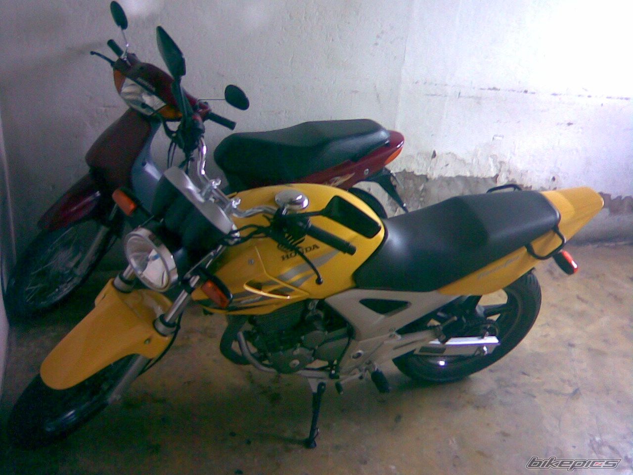 Photo 1483289