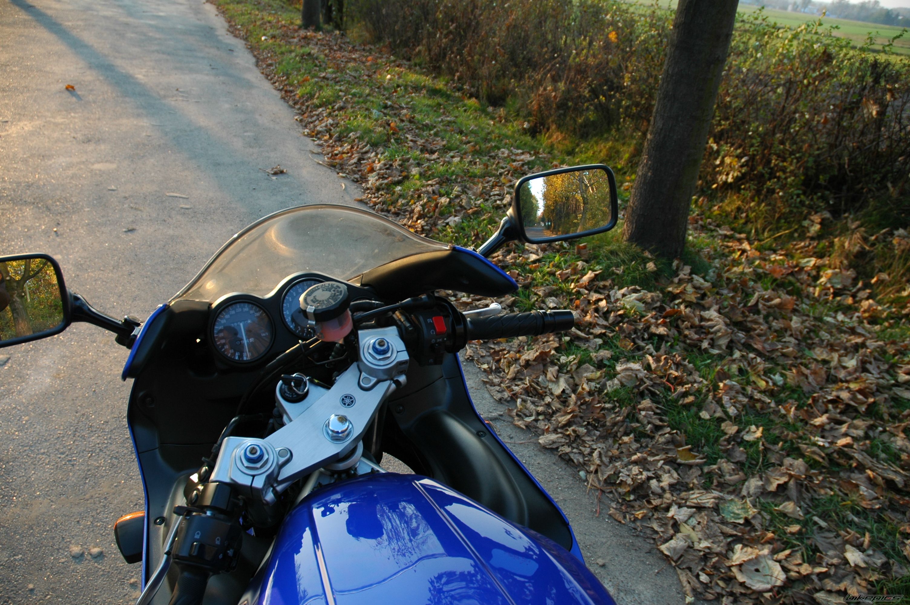 Photo 1483293