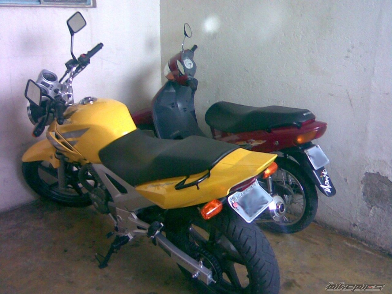 Photo 1483295