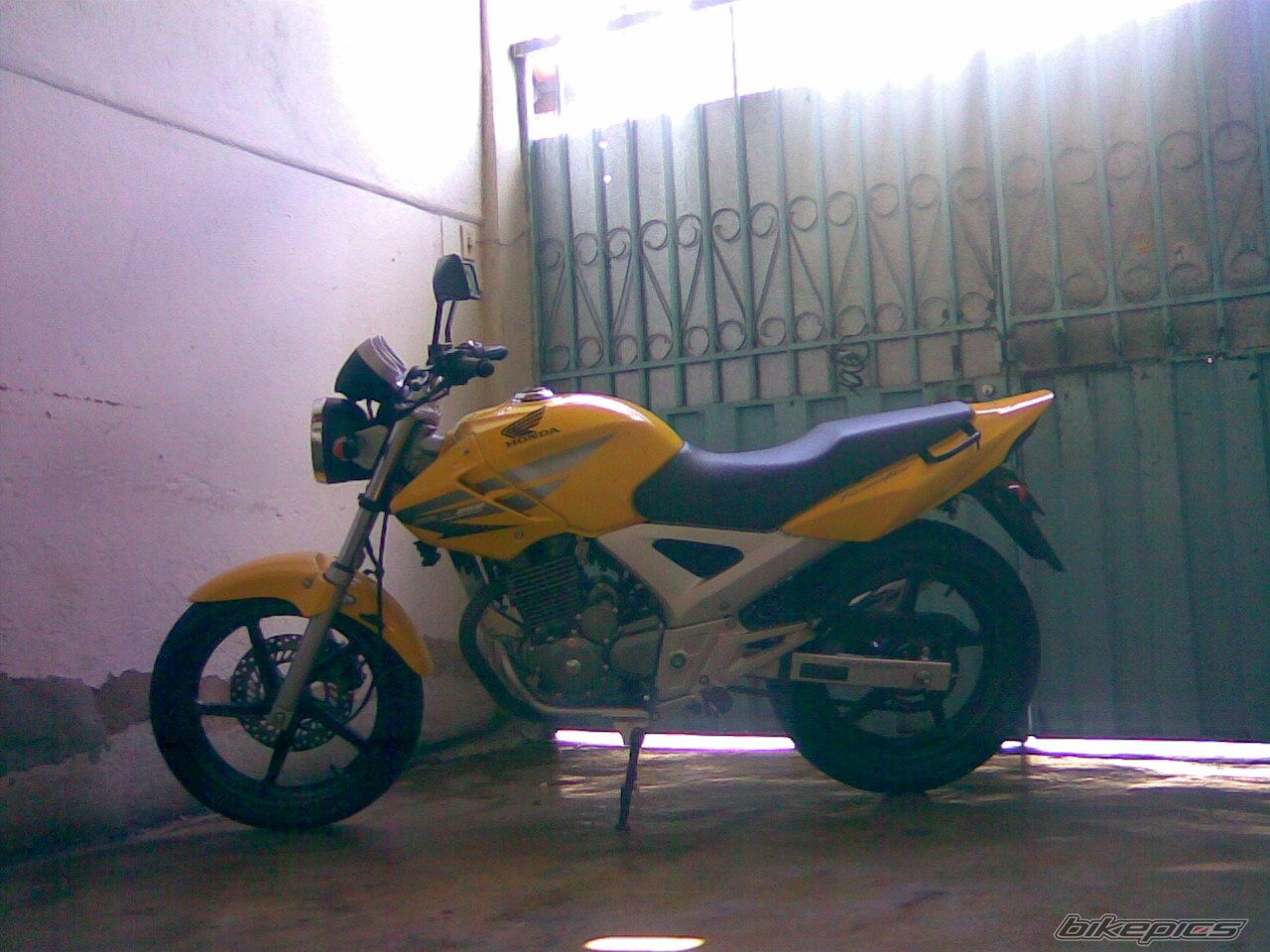 Photo 1483296