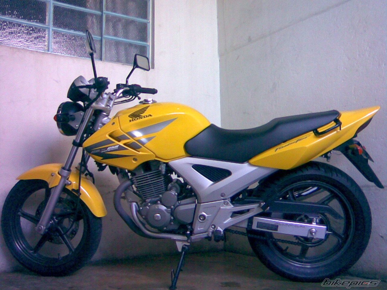 Photo 1483298