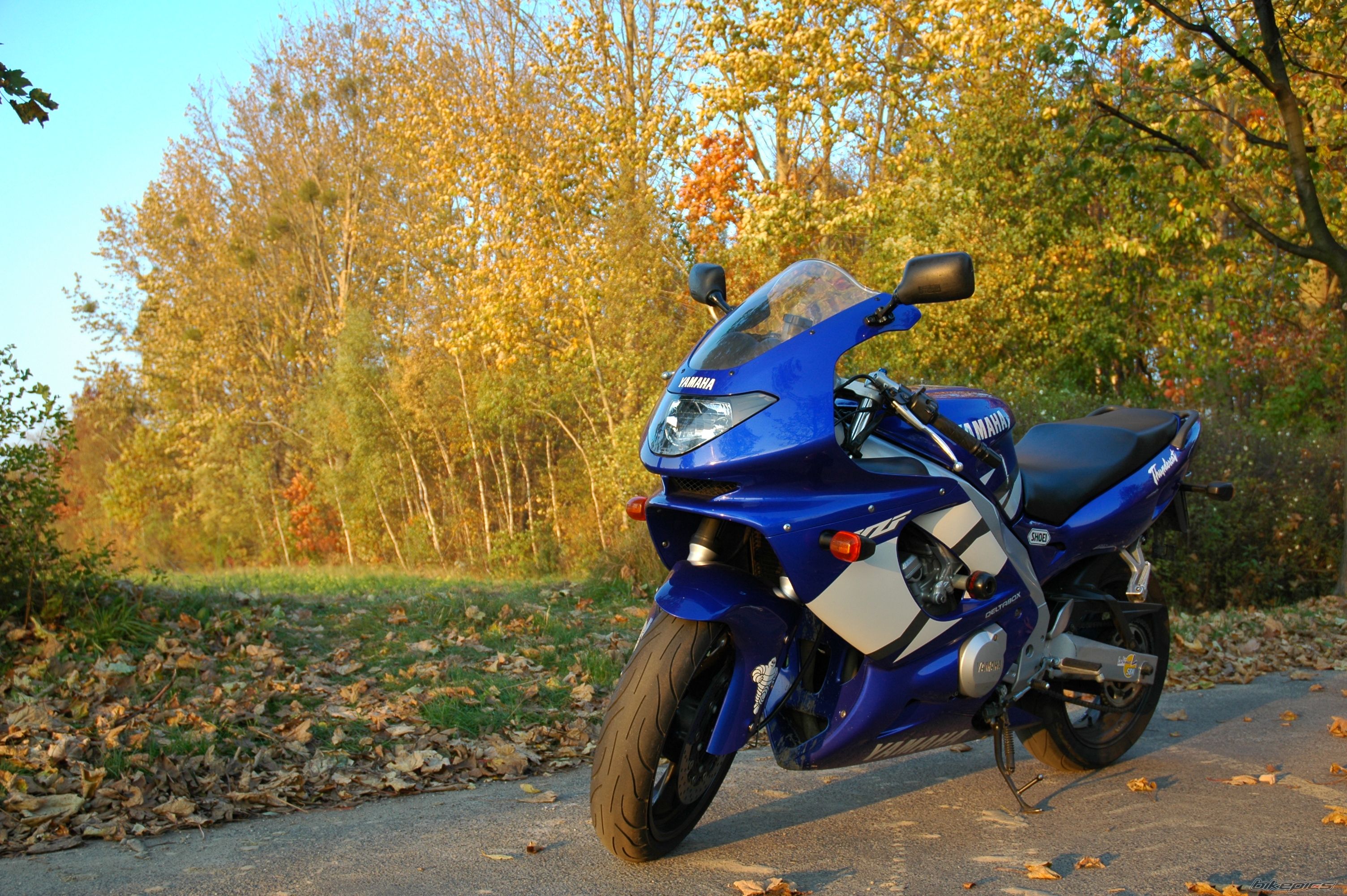 Bike Photo 1483299