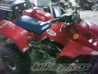 Photo 1483393