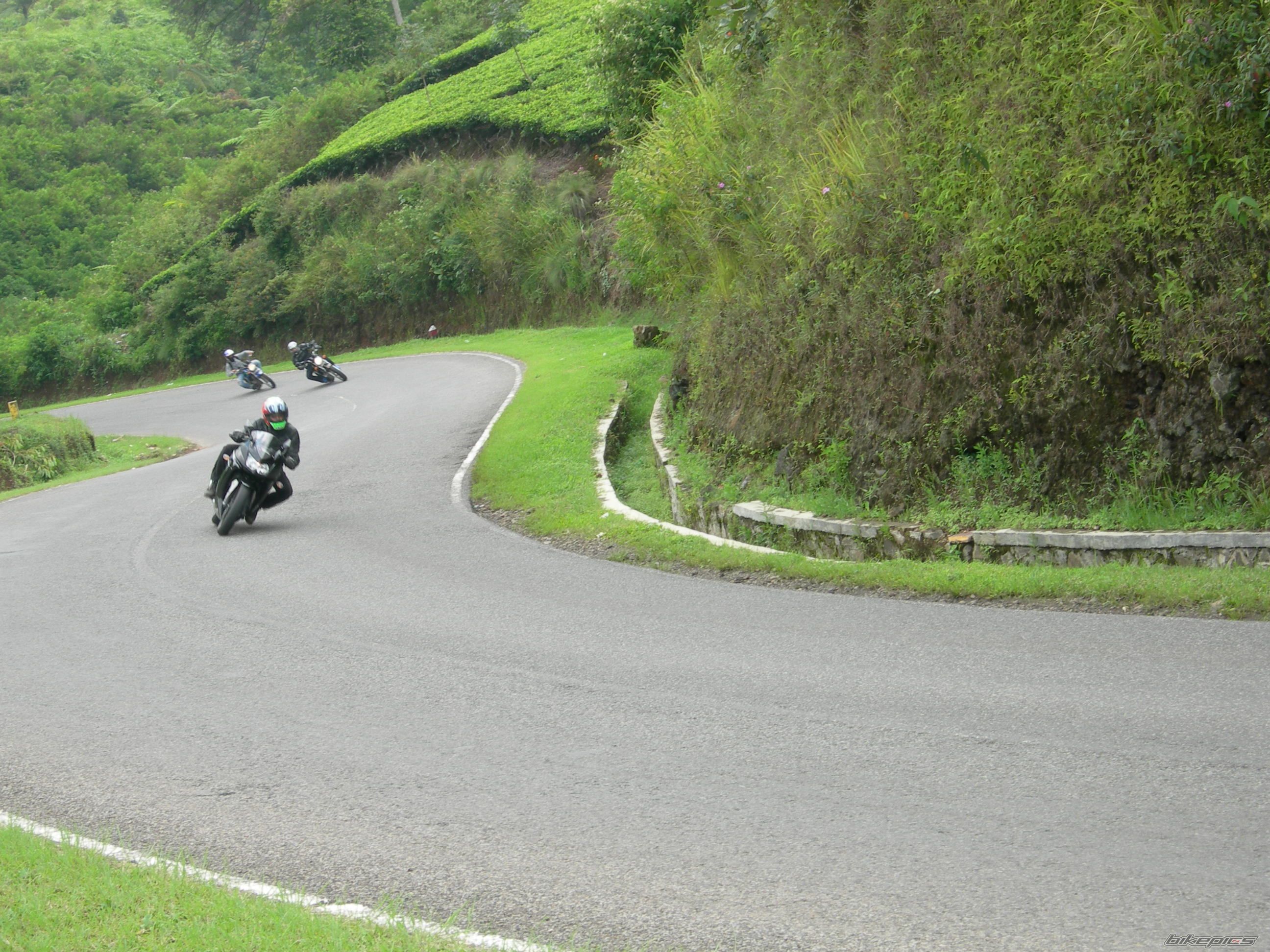 Photo 1483425