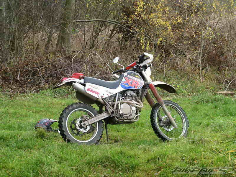 Photo 1483494