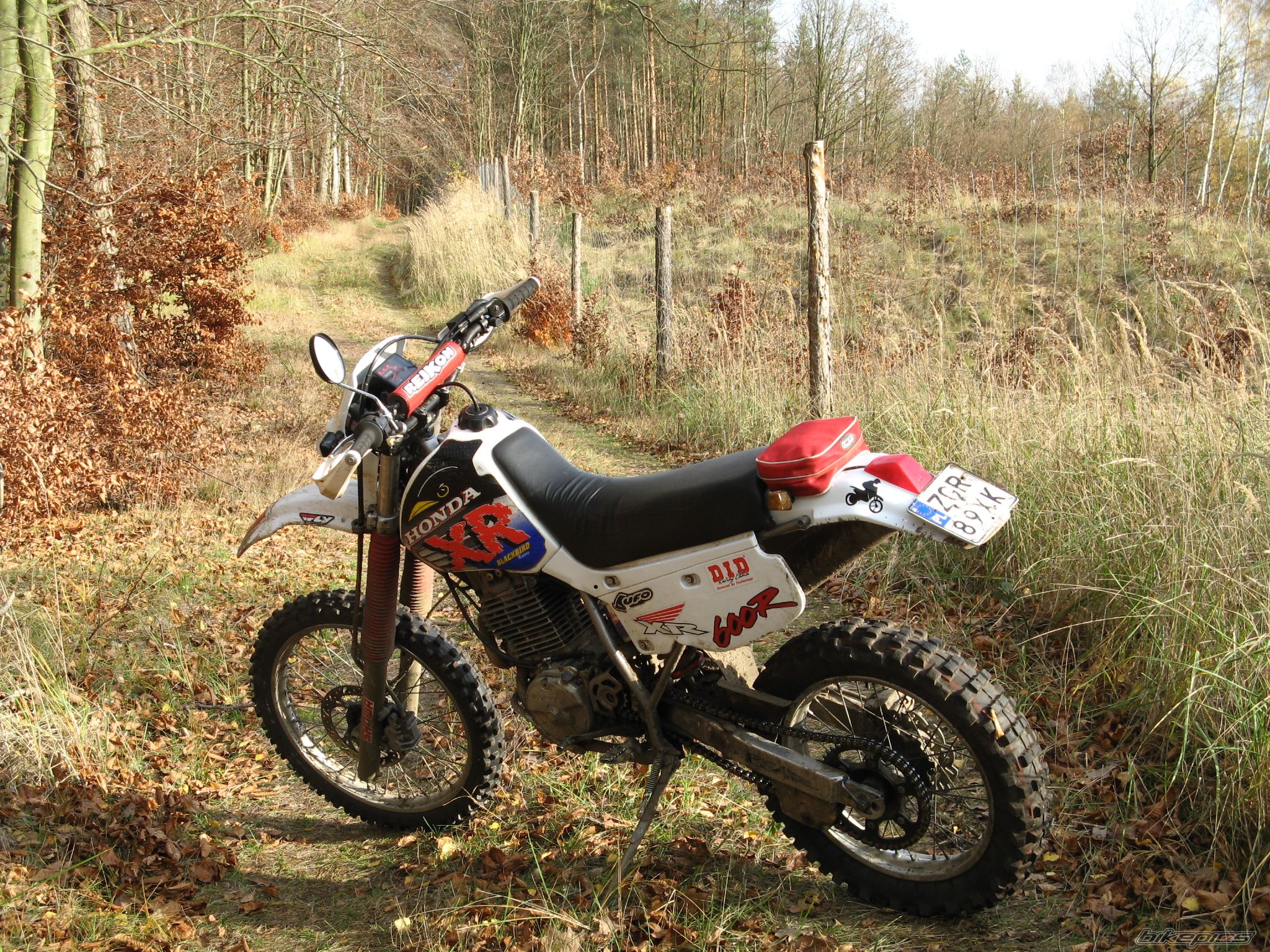 Photo 1483495