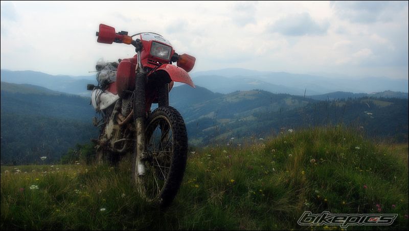 Photo 1483518