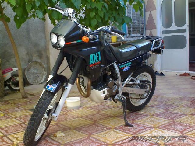 Photo 1483519