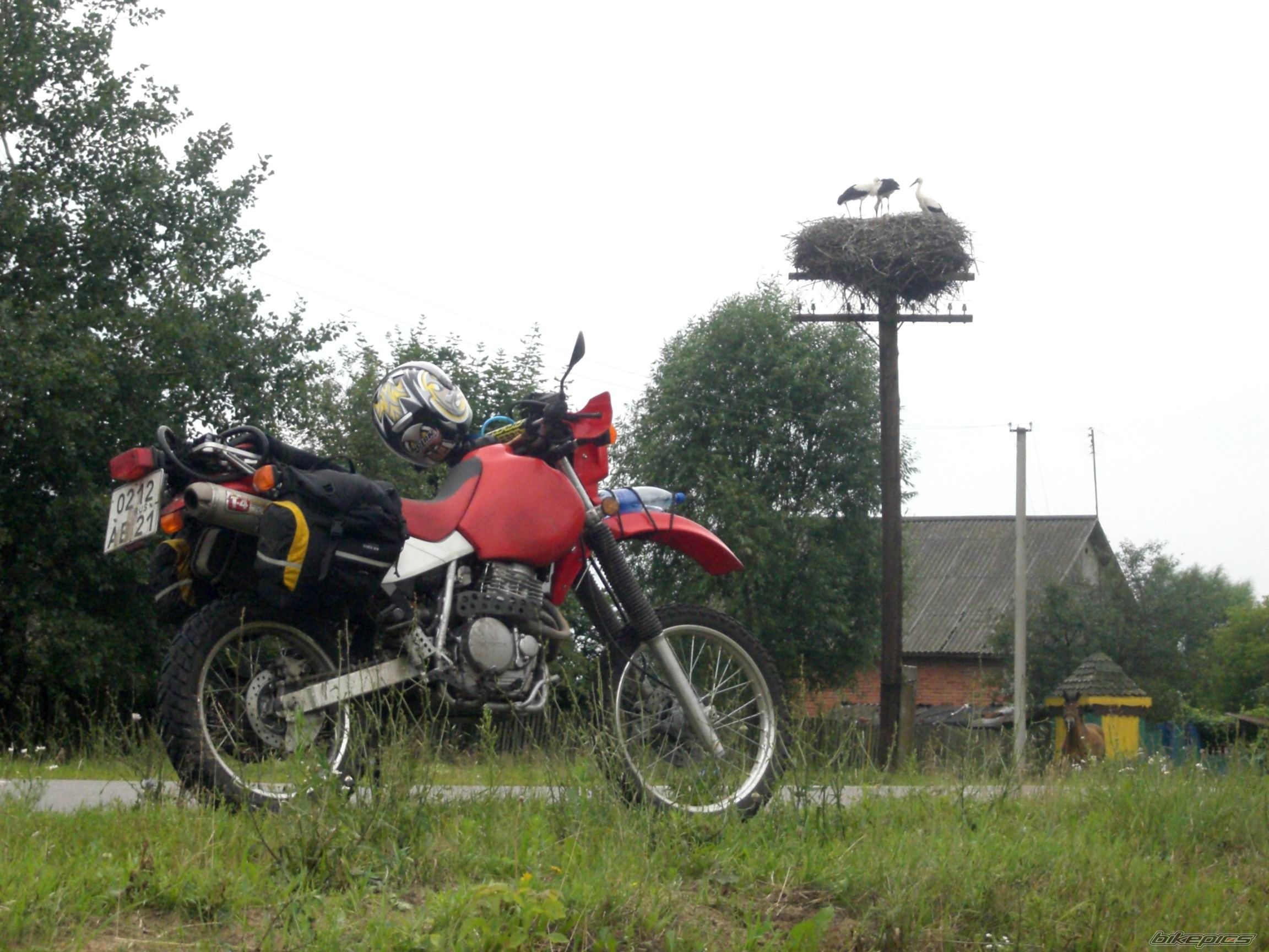Photo 1483564