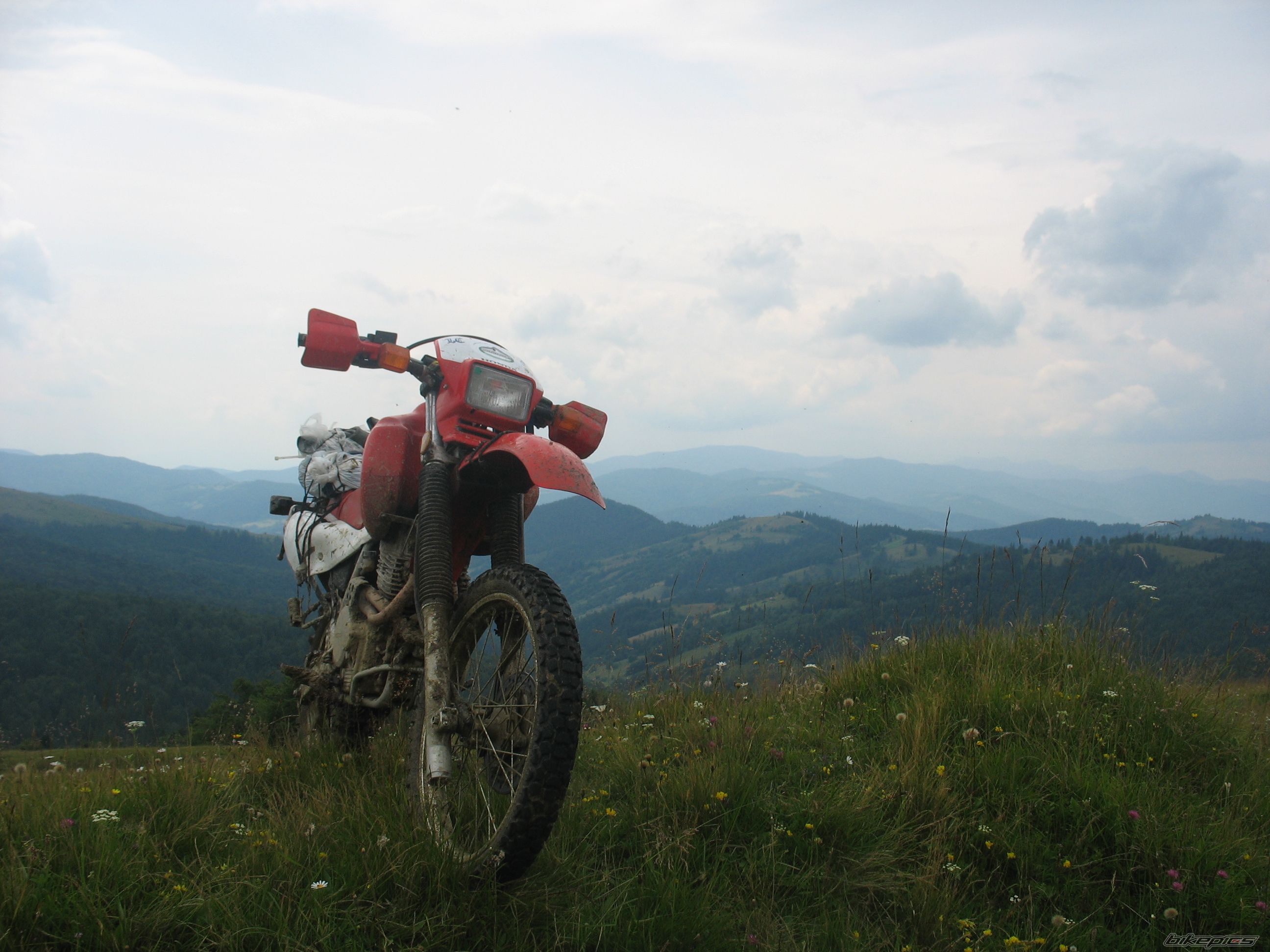 Photo 1483604