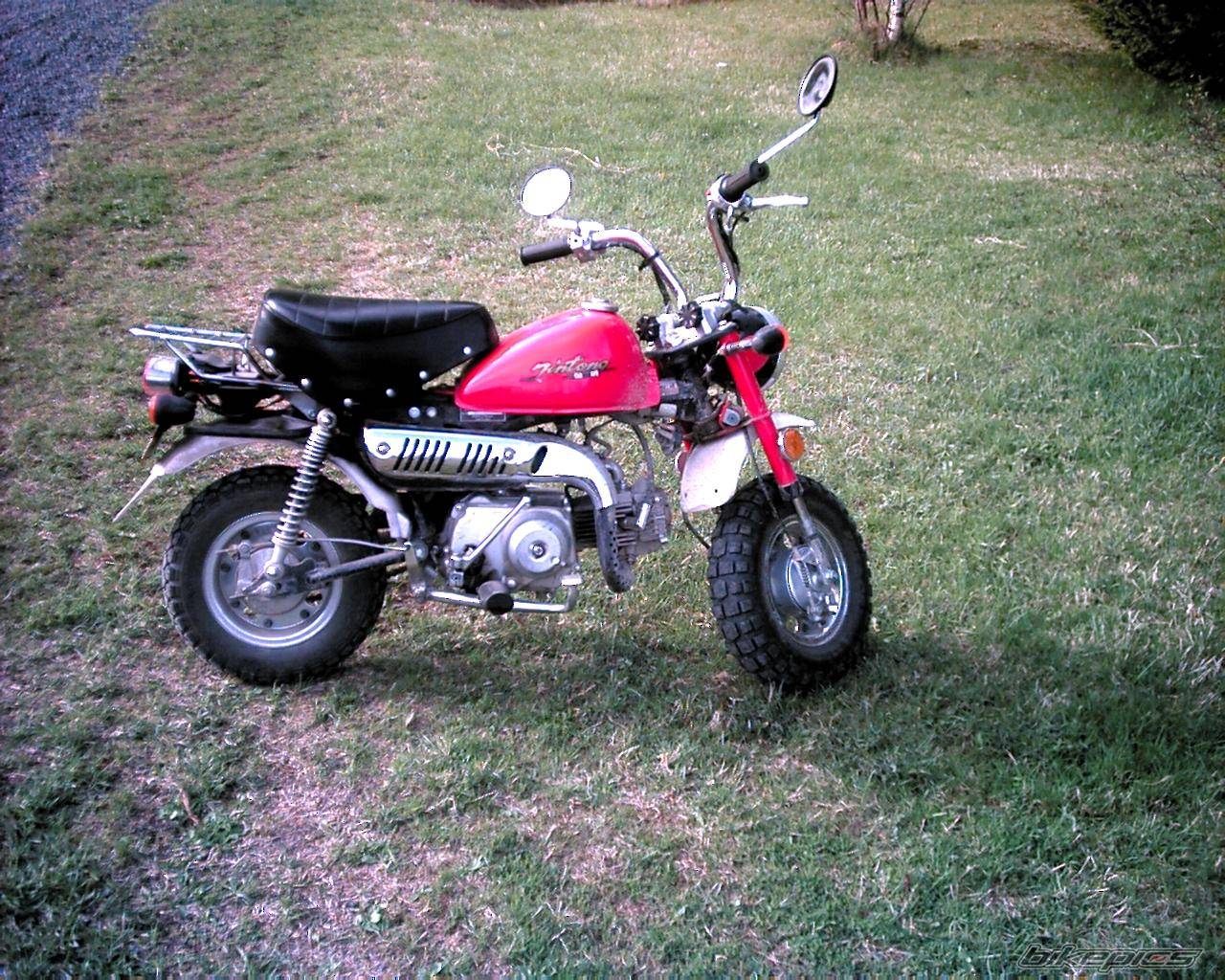 Photo 148363